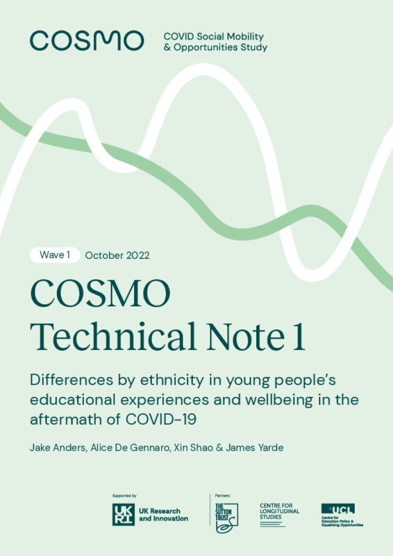 Technical Note 1 - Differences in experiences by ethnicity